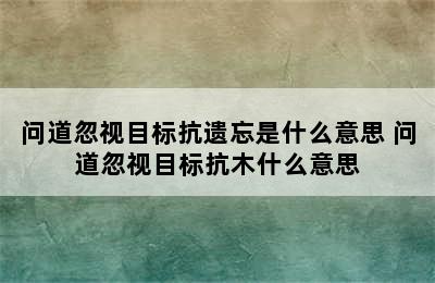 问道忽视目标抗遗忘是什么意思 问道忽视目标抗木什么意思